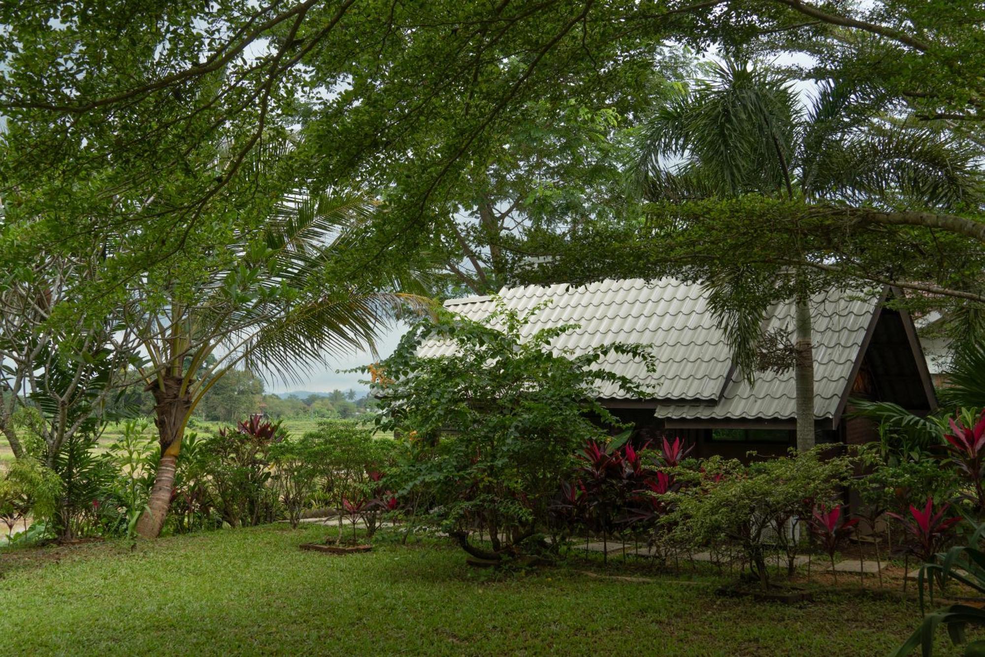 Bambu Getaway Kuah Exterior foto